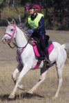 australian made compression 1