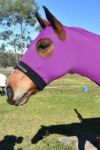 horse skinny hood purple performa ride side