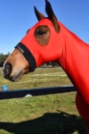 horse skinny hood red performa ride