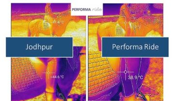 Performa Ride vs. Traditional Jodhpur