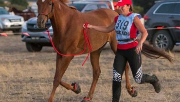 A debrief: American Endurance Ride Conference