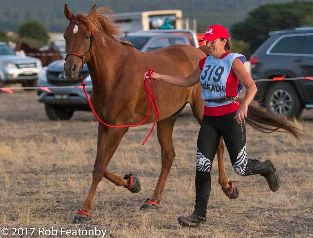 A debrief: American Endurance Ride Conference