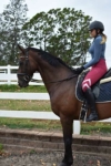 performa ride burgundy flexion horse riding tights side