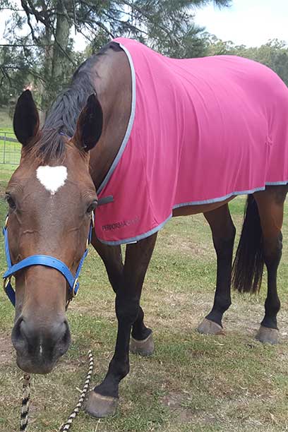 performa cool cooling horse rug left side
