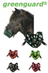 horse grazing muzzle banner greenguard
