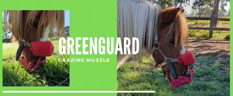 GREENGUARD GRAZING MUZZLE MAKES A DIFFERENCE