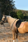 liquid glitter jump saddle pad pink left performa ride