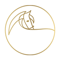 logo performa ride transparent