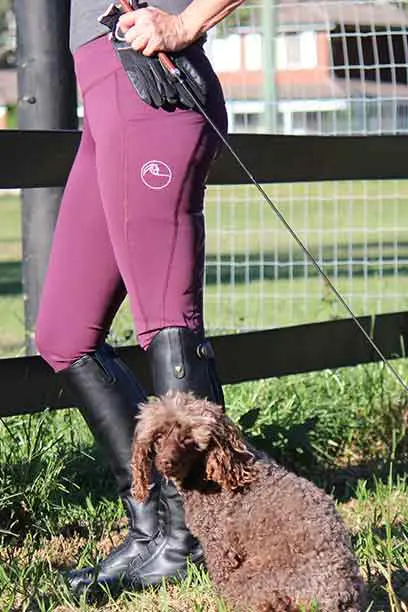 double pocket non stick riding tights grape left side dog performa ride