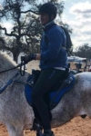mens horse riding tights left side on horse performa ride