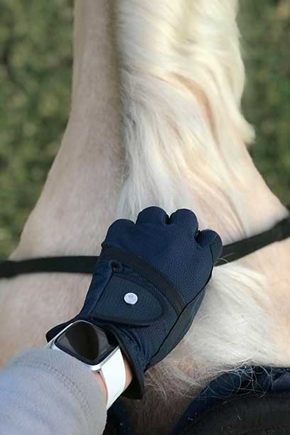 horse riding glove navy on horse top side performa ride