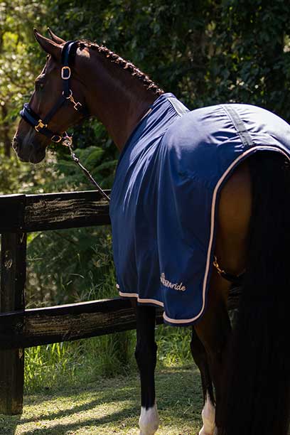Horse Gear