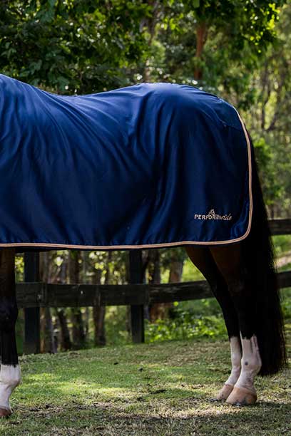 midnight rose luxe horse rug combo back left half performa ride